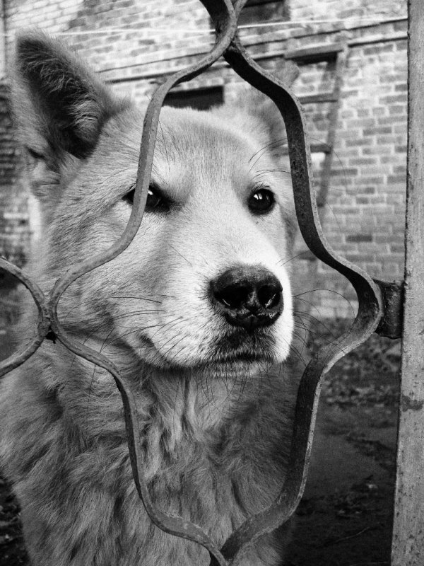 Фотовиставка Валентини Жуги